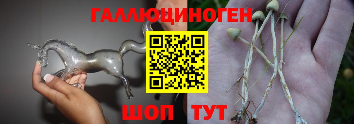Галлюциногенные грибы мухоморы Качканар